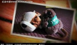 玩偶照片爆料大全图片视频,揭秘热门玩偶的幕后故事与精彩瞬间