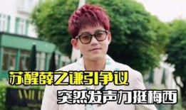 苏醒爆料薛之谦视频,揭秘背后惊人真相