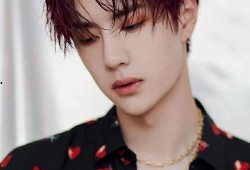 娱乐圈内爆料王一博,娱乐圈爆料背后的真实人生