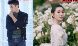 娱乐圈因戏生情爆料,娱乐圈因戏生情的甜蜜瞬间