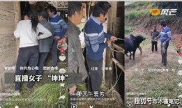 牛爱芳同村人爆料视频,背后惊人真相曝光