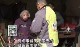 爆料老娘舅的新闻,揭秘餐饮行业幕后真相