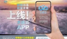 爆料大连新闻的视频,揭秘事件真相，追踪热点动态