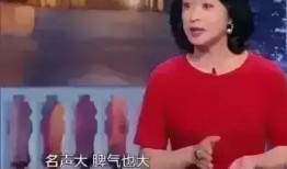 黑红明星爆料视频完整版,揭秘娱乐圈不为人知的真相