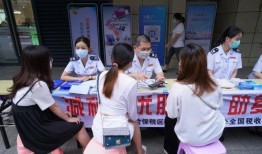 海南营商环境新闻爆料,企业投资新机遇显现