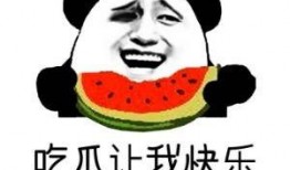 娱乐吃瓜酱你是破防了吗,揭秘“破防”背后的真相与情感波动