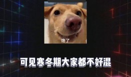 娱乐八卦一定吃瓜,明星幕后故事大揭秘，吃瓜群众必看！