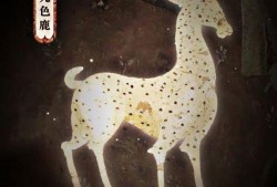 九色鹿最新爆料