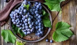 葡萄爆料视频大全最新,揭秘娱乐圈最新热点事件