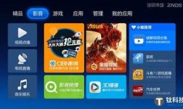 蒙面歌王爆料视频