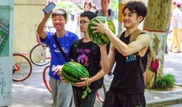 免费吃瓜学校,揭秘校园里的独特福利