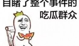 吃瓜群众免费教学视频,跟随吃瓜群众免费教学视频解锁瓜界新技能