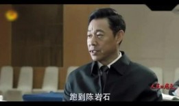 爆料娱乐圈的大叔有哪些,揭秘娱乐圈大叔们的魅力风采
