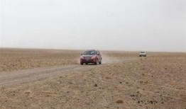 最新沙漠爆料新闻视频大全