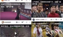 新瓜最新爆料合集视频,揭秘娱乐圈最新热点事件