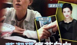 扒叔爆料蓝洁瑛视频播放,蓝洁瑛生前视频播放背后的真相