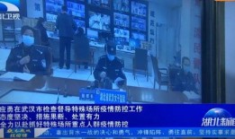 今日三乡新闻爆料视频,最新爆料视频揭秘事件真相