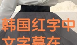 红字韩国手机在线观看,韩国手机剧在线观看，情感纠葛与科技魅力的交织