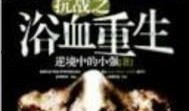 浴血重生全集在线观看,全集在线观看，揭秘英雄浴火重生的传奇历程