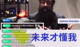 哈登爆料王猛视频播放,王猛视频背后的故事与幕后真相