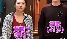 胡歌老婆邻居爆料视频,揭秘明星家庭生活点滴