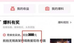 商南头条最新爆料,最新爆料事件深度解析