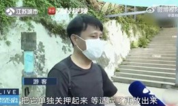 吃瓜挨打的网红,挨打事件引发热议
