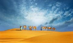 最新沙漠爆料新闻视频大全