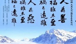 网红吃瓜感言句子图片,一语道破娱乐圈真相