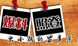 新闻免费爆料,最新新闻免费爆料事件深度解析