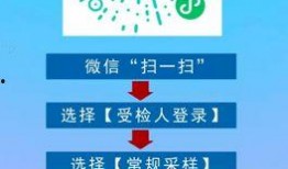 龙川一线新闻爆料网络,网络热点事件深度解析