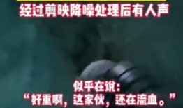 爆料诡异视频下载网站大全,诡异视频下载网站大全盘点